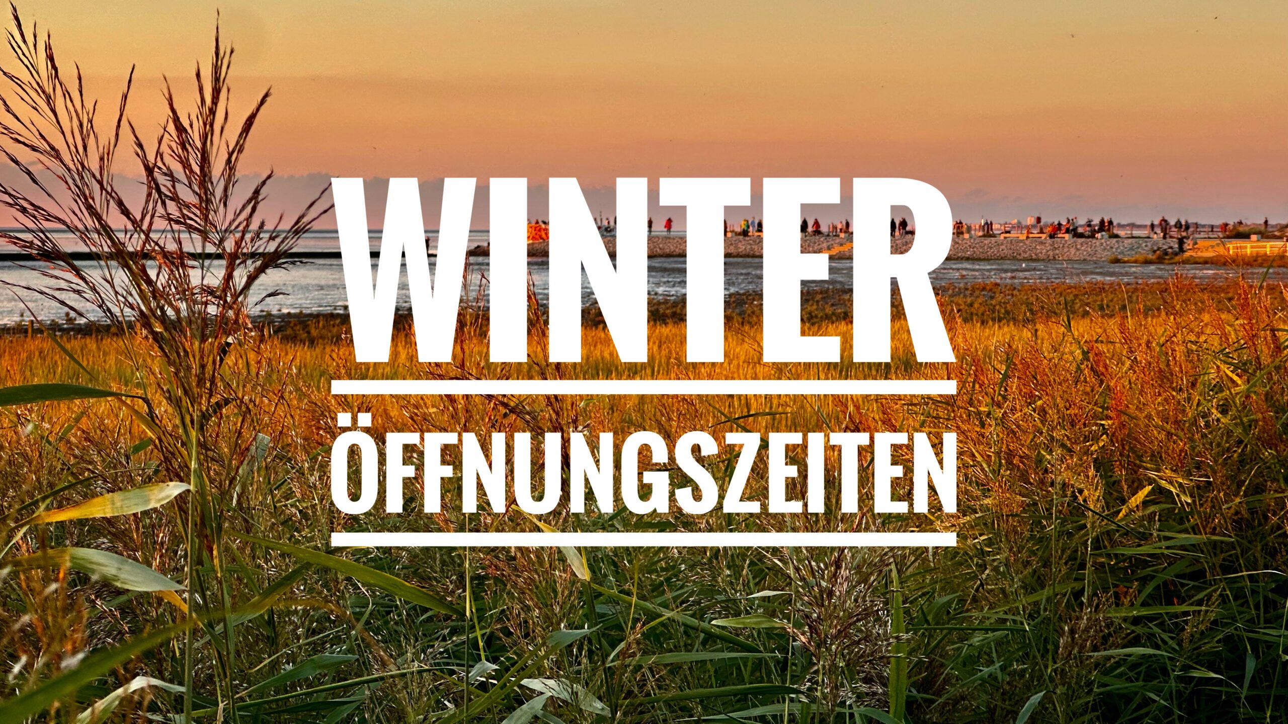 Winter Öffnungszeiten